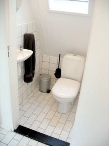 A-House toilet