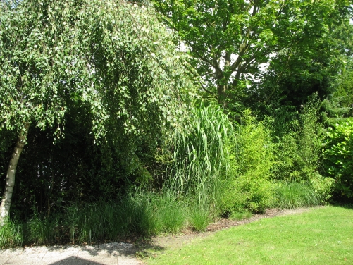 grote tuin rondom het vakantiehuis, Scharendijke, Zeeland, Nederland